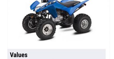 00O0O 2qXnhQmtuvjz 0ln0CI 1200x900 375x195 2020 Blue Honda TRX250X for sale
